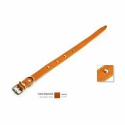 Eurocuoio Collare In Cuoio Di Bufalo Sfoderato Cucito Con Borchie Conciato Al Cromo