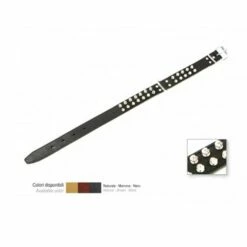 Eurocuoio Collare In Cuoio Foderato Con 2 File Borchie A Punta