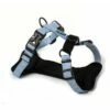 Farmcompany Pettorina Per Cani Nylon Deluxe Antifuga Taglia S
