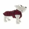 Ferribiella Cane Piumino Caldoso Bordeux