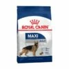 Royal Canin Cane Secco Adult Maxi
