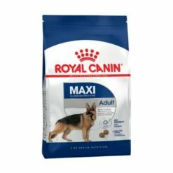 Royal Canin Cane Secco Adult Maxi